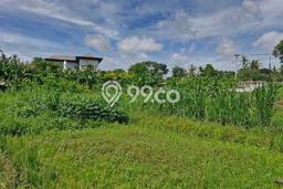 Kavling Tanah Dijual di Gianyar Gianyar Spesifikasi 2221m2 Kavling Tanah Dijual di Gianyar Gianyar Spesifikasi 2221m2