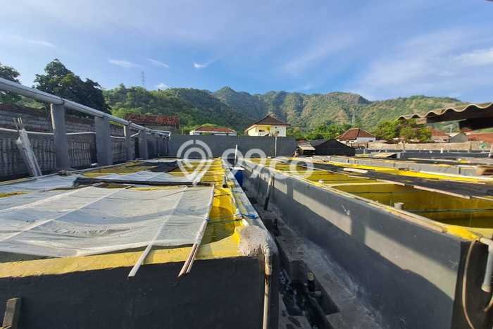 For Sale Rumah Mewah Exclusive di Seririt, Buleleng For Sale Rumah Mewah Exclusive di Seririt, Buleleng