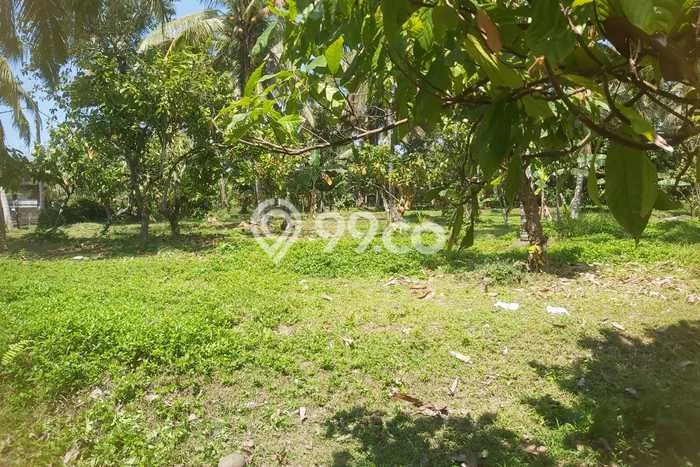 Tanah Dijual Lokasi Timpag, Tabanan Luas 1820m2 Legalitas Aman Tanah Dijual Lokasi Timpag, Tabanan Luas 1820m2 Legalitas Aman