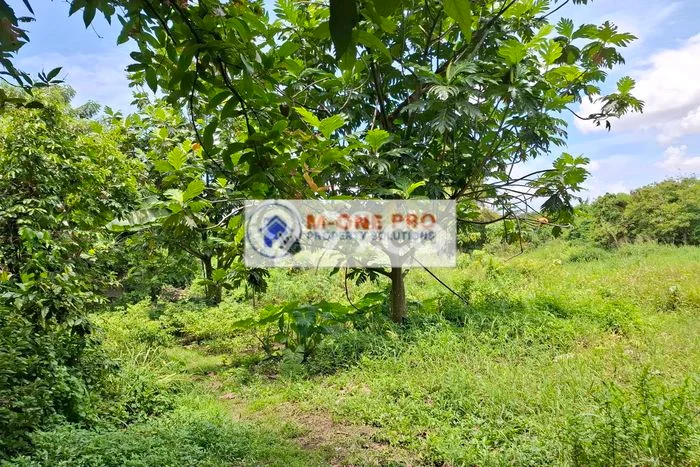 Paling Dicari! Lahan Kosong Disewakan di Cipondoh, Tangerang Paling Dicari! Lahan Kosong Disewakan di Cipondoh, Tangerang