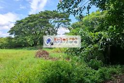 Paling Dicari! Lahan Kosong Disewakan di Cipondoh, Tangerang Paling Dicari! Lahan Kosong Disewakan di Cipondoh, Tangerang