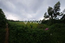 Kavling Tanah di Cikampek Dijual Luas 50000m2 Legalitas SHM Kavling Tanah di Cikampek Dijual Luas 50000m2 Legalitas SHM