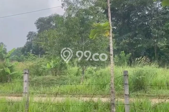 Jarang Ada! Tanah di Cipeundeuy Punya Luas 25000m2 SHM Jarang Ada! Tanah di Cipeundeuy Punya Luas 25000m2 SHM