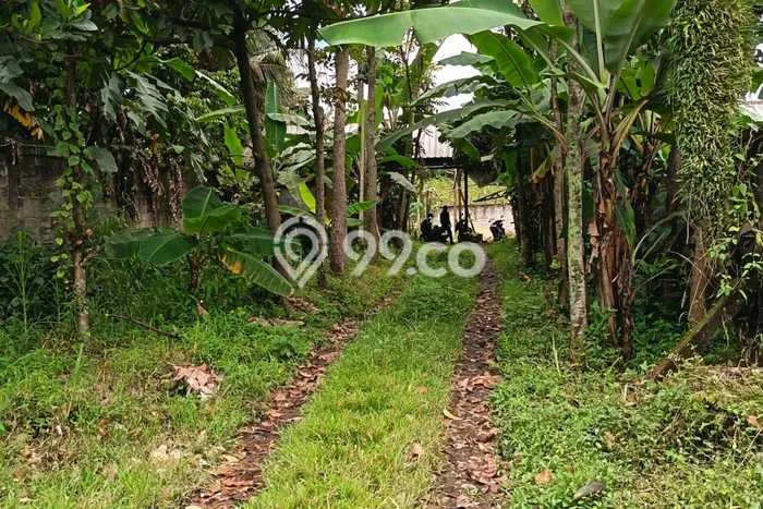 Kavling Tanah Dijual di Tenjolaya Bogor Spesifikasi 985m2 Kavling Tanah Dijual di Tenjolaya Bogor Spesifikasi 985m2