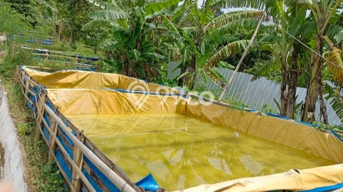 Lahan untuk Dijual di Rumpin Bogor Luas 5800m2 Lahan untuk Dijual di Rumpin Bogor Luas 5800m2