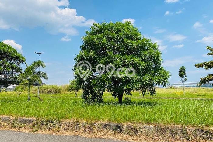 Jarang Ada! Tanah di Karawang Timur Punya Luas 35000m2 - Jarang Ada! Tanah di Karawang Timur Punya Luas 35000m2 -
