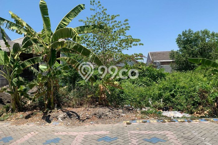 Kavling Tanah Dijual di Rungkut Surabaya Spesifikasi 225m2 Kavling Tanah Dijual di Rungkut Surabaya Spesifikasi 225m2