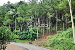 Tanah untuk Dijual Lokasi Jampang Kulon, Sukabumi Luas 140000m2 SHM Tanah untuk Dijual Lokasi Jampang Kulon, Sukabumi Luas 140000m2 SHM