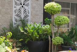 Rumah Siap Pakai area Serpong, Tangerang Selatan, Luas 128m² LB 128m² Rumah Siap Pakai area Serpong, Tangerang Selatan, Luas 128m² LB 128m²