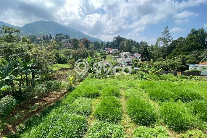 Tanah Kavling di Cipanas Dijual dengan Luas 3525m2 Tanah Kavling di Cipanas Dijual dengan Luas 3525m2