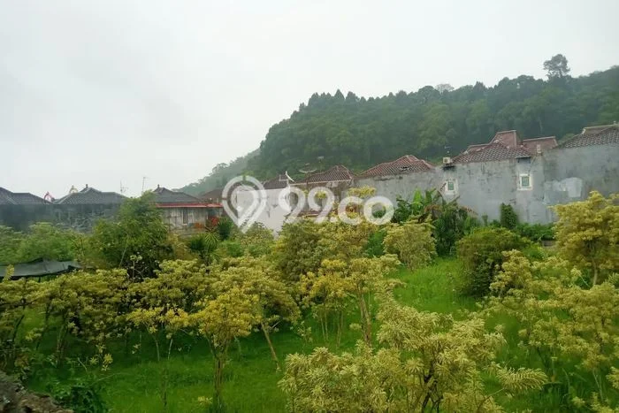 Tanah Kavling untuk Dijual di Cipanas Cianjur 2031m2 Tanah Kavling untuk Dijual di Cipanas Cianjur 2031m2