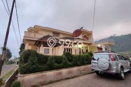 Jual Rumah Minimalis Bagus Punya 6 KT di Cipanas Cianjur SHM Jual Rumah Minimalis Bagus Punya 6 KT di Cipanas Cianjur SHM