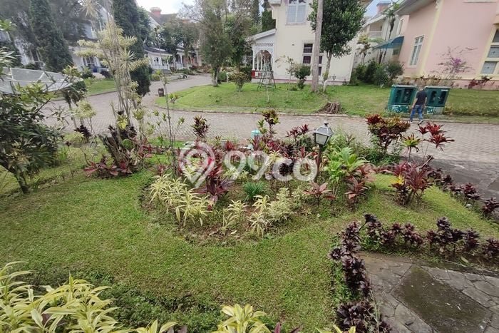 For Sale Rumah 2 Kamar Lokasi Ideal Bagus dan Strategis di Cipanas For Sale Rumah 2 Kamar Lokasi Ideal Bagus dan Strategis di Cipanas