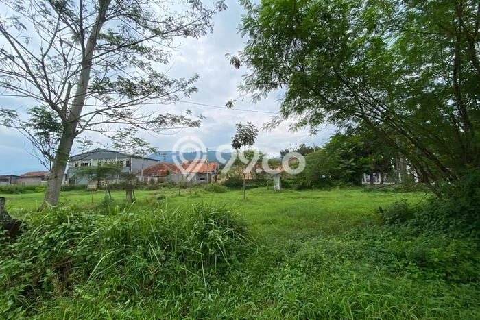 Tanah Kavling untuk Dijual di Cipanas Cianjur 115m2 Tanah Kavling untuk Dijual di Cipanas Cianjur 115m2