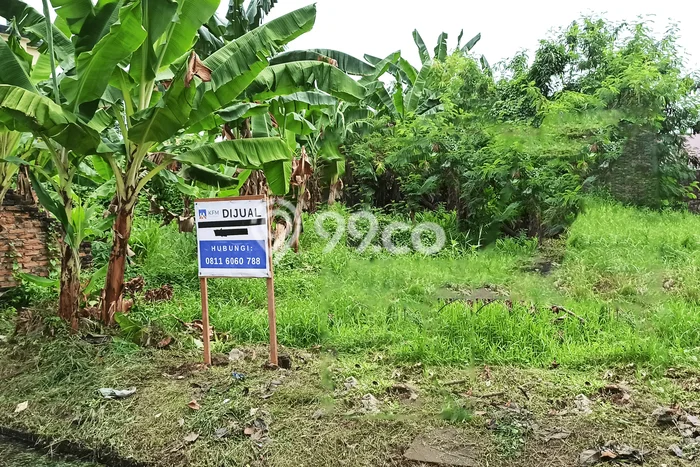 Tanah Dijual Lokasi Medan Helvetia, Medan dengan Luas Tanah 250m2 dan Status SHM Tanah Dijual Lokasi Medan Helvetia, Medan dengan Luas Tanah 250m2 dan Status SHM