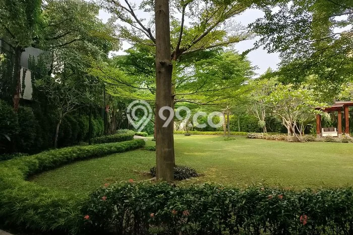 Hunian Bagus Disewakan di Cipete, Jakarta Selatan LT 250m2, LB 300m2 Hunian Bagus Disewakan di Cipete, Jakarta Selatan LT 250m2, LB 300m2