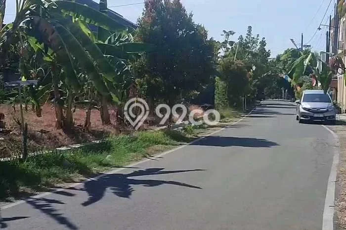 Tanah untuk Disewakan di Tembalang Semarang SHM Tanah untuk Disewakan di Tembalang Semarang SHM
