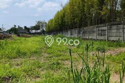 Tanah Dijual di Semarang Seluas 10000m2 Strategis Tanah Dijual di Semarang Seluas 10000m2 Strategis