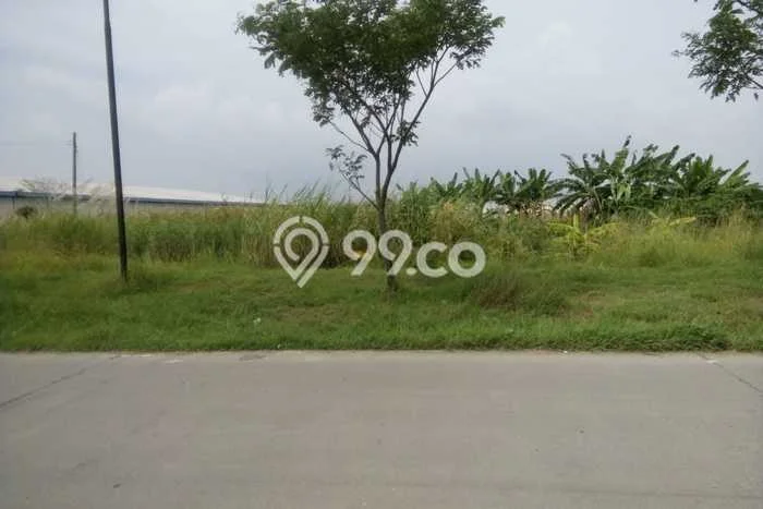 Tanah di Sayung, Demak Luas 10200m2 Dijual Segera Tanah di Sayung, Demak Luas 10200m2 Dijual Segera