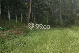 Untuk Dijual Tanah di Gunung Pati Semarang Luas 746m2 SHM Untuk Dijual Tanah di Gunung Pati Semarang Luas 746m2 SHM
