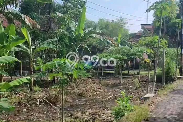 Tanah Kavling Dijual di Semarang dengan Spesifikasi 317m2 Tanah Kavling Dijual di Semarang dengan Spesifikasi 317m2