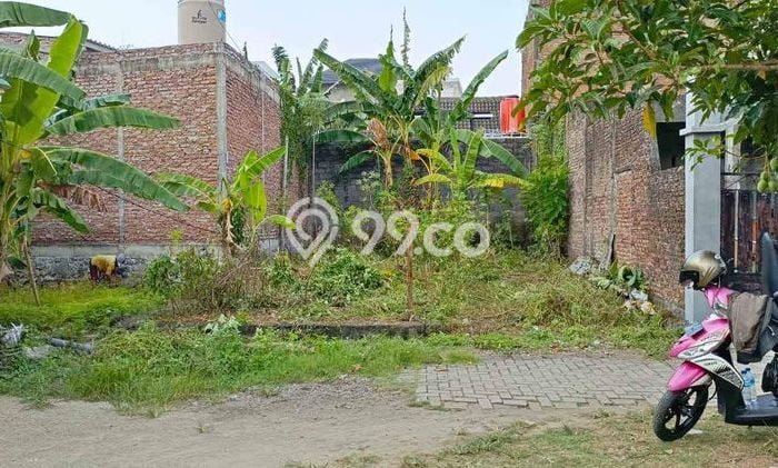 Tanah Kavling Dijual di Semarang dengan Spesifikasi 108m2 Tanah Kavling Dijual di Semarang dengan Spesifikasi 108m2