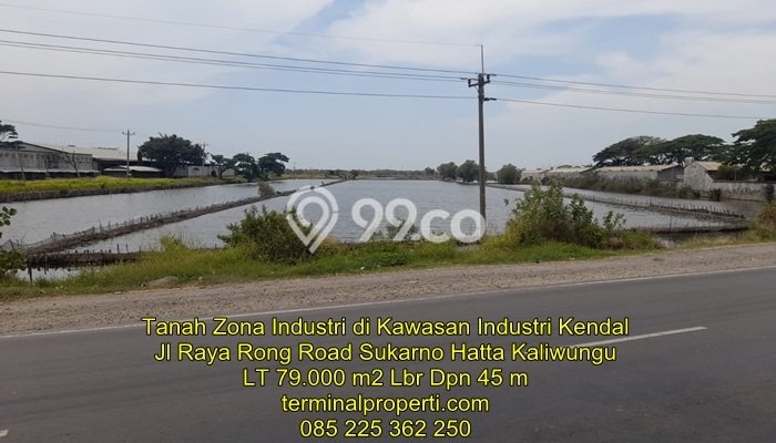 Kavling Tanah Dijual di Kaliwungu Semarang Spesifikasi 79244m2 Kavling Tanah Dijual di Kaliwungu Semarang Spesifikasi 79244m2
