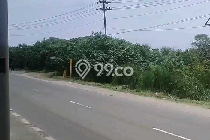 Kavling Tanah Dijual di Kaliwungu, Semarang, Luas 100000m2 Area Strategis Kavling Tanah Dijual di Kaliwungu, Semarang, Luas 100000m2 Area Strategis