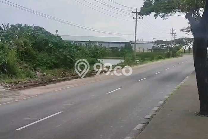 Dijual Tanah di Kaliwungu Semarang Luas 50000m2 SHM Dijual Tanah di Kaliwungu Semarang Luas 50000m2 SHM