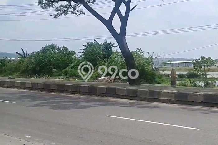Dijual Tanah di Kaliwungu Semarang Luas 50000m2 SHM Dijual Tanah di Kaliwungu Semarang Luas 50000m2 SHM