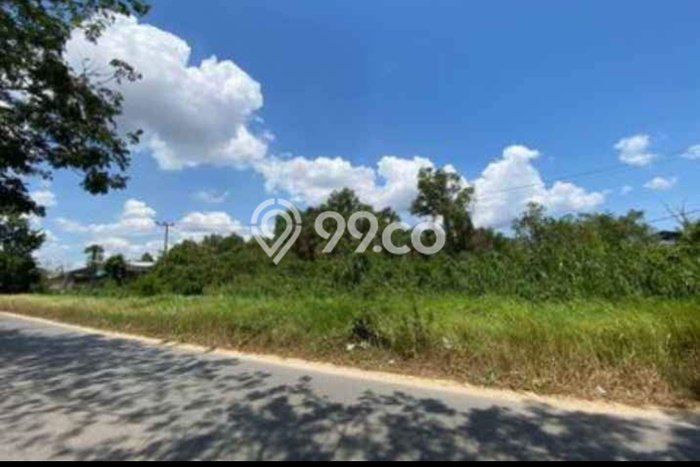 Tanah Dijual di Kendari Seluas 30000m2 Strategis Tanah Dijual di Kendari Seluas 30000m2 Strategis