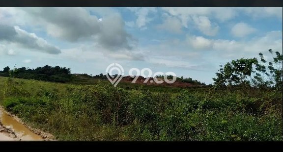 Tanah di Konda, Konawe Selatan Luas 75000m2 Dijual Segera Tanah di Konda, Konawe Selatan Luas 75000m2 Dijual Segera