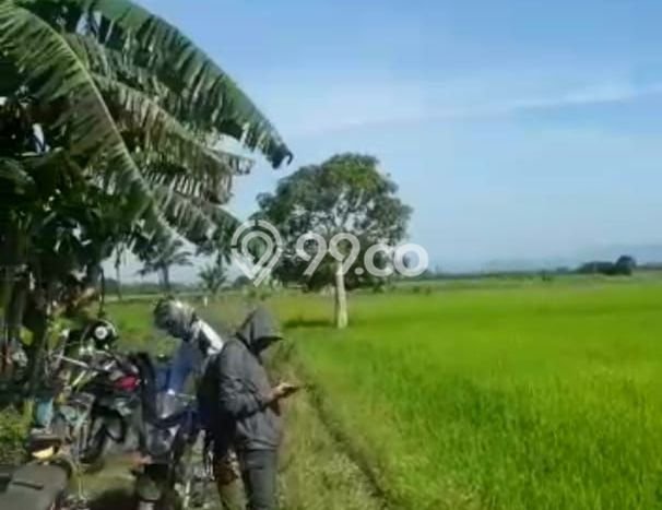 Jarang Ada! Tanah di Konda Punya Luas 230000m2 SHM Jarang Ada! Tanah di Konda Punya Luas 230000m2 SHM