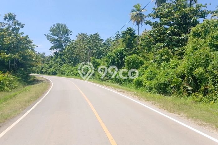 Tanah Dijual Lokasi Tinanggea Konawe Selatan SHM Tanah Dijual Lokasi Tinanggea Konawe Selatan SHM