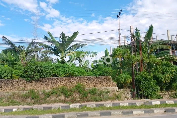 Tanah Dijual Lokasi Poasia, Kendari Luas 4556m2 Legalitas Aman Tanah Dijual Lokasi Poasia, Kendari Luas 4556m2 Legalitas Aman