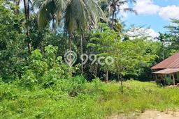 Tanah di Abeli, Kendari Luas 20000m2 Dijual Segera Tanah di Abeli, Kendari Luas 20000m2 Dijual Segera