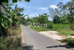 Untuk Dijual Tanah 498m2 di Sleman, Yogyakarta Untuk Dijual Tanah 498m2 di Sleman, Yogyakarta