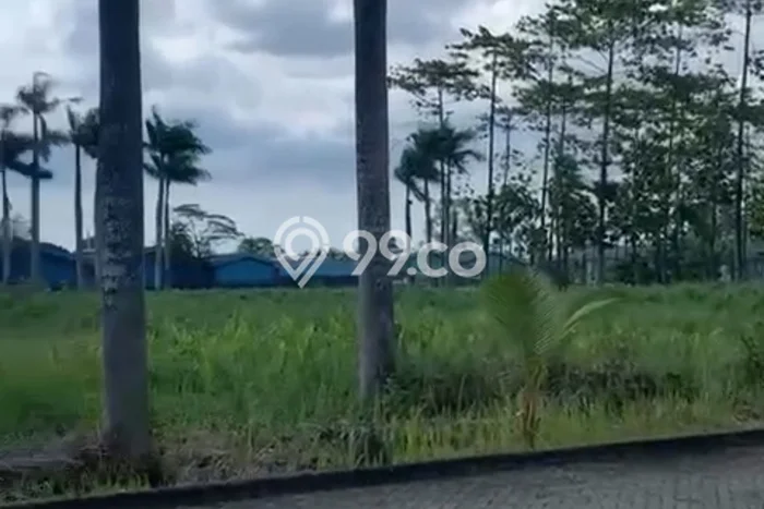 Tanah Kavling Dijual di Bitung, Tangerang dengan Luas Tanah 4000m2 Tanah Kavling Dijual di Bitung, Tangerang dengan Luas Tanah 4000m2