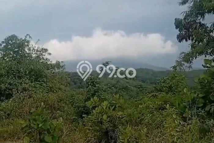 Lahan Investasi Lokasi Bogor Selatan Bogor SHM Lahan Investasi Lokasi Bogor Selatan Bogor SHM