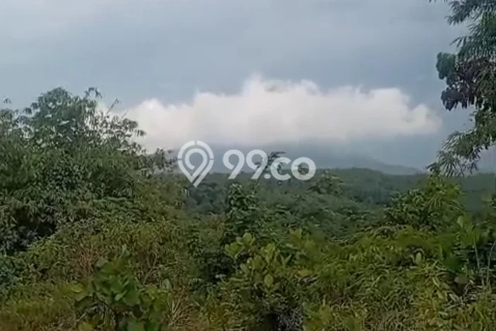 Lahan Investasi Lokasi Bogor Selatan Bogor SHM Lahan Investasi Lokasi Bogor Selatan Bogor SHM