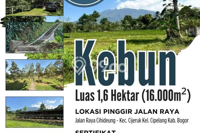 Lahan Investasi Lokasi Cijeruk Bogor SHM Lahan Investasi Lokasi Cijeruk Bogor SHM