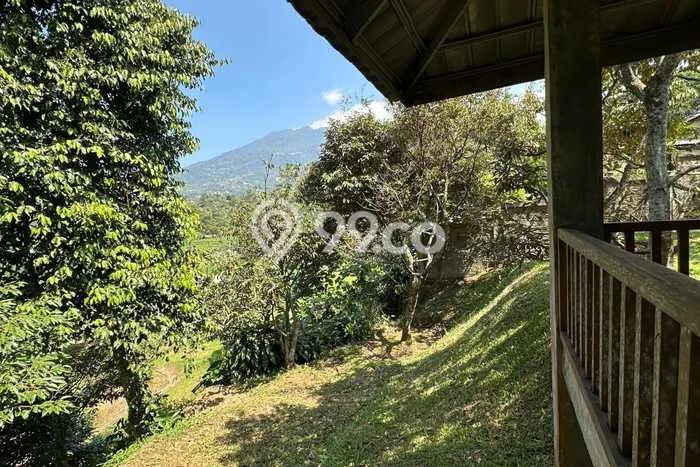 Lahan Investasi Lokasi Cijeruk Bogor SHM Lahan Investasi Lokasi Cijeruk Bogor SHM