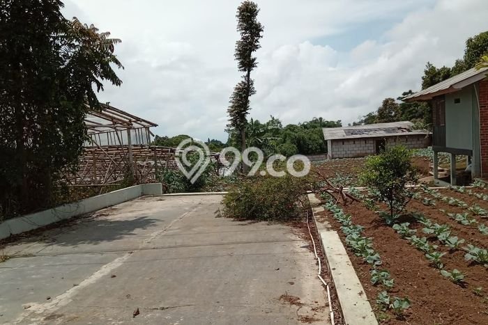 Tanah Dijual Lokasi Lembang Bandung Barat SHM Tanah Dijual Lokasi Lembang Bandung Barat SHM