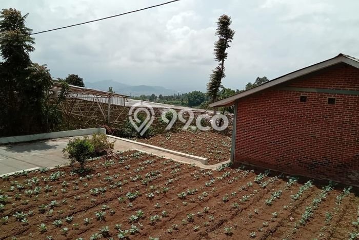 Tanah Dijual Lokasi Lembang Bandung Barat SHM Tanah Dijual Lokasi Lembang Bandung Barat SHM