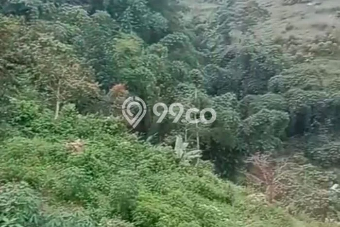 Kavling Tanah untuk Dijual di Ciumbuleuit, Bandung, Luas 2450m2 Kavling Tanah untuk Dijual di Ciumbuleuit, Bandung, Luas 2450m2