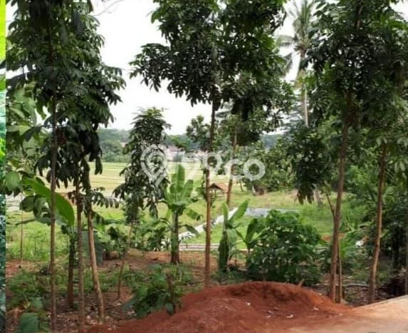 Kavling Tanah untuk Dijual di Purwakarta Kota, Purwakarta, Luas 400m2 Kavling Tanah untuk Dijual di Purwakarta Kota, Purwakarta, Luas 400m2