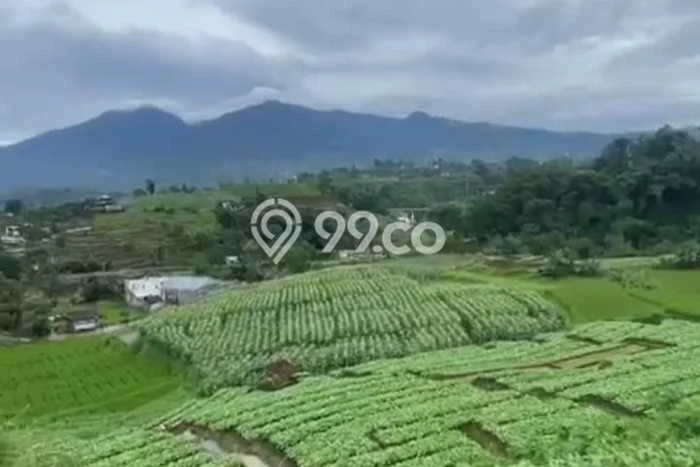 Kavling Tanah di Pangalengan Dijual Luas 1694m2 Legalitas SHM Kavling Tanah di Pangalengan Dijual Luas 1694m2 Legalitas SHM