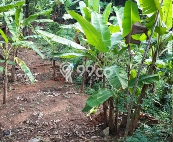Kavling Tanah untuk Dijual di Purwakarta Kota, Purwakarta, Luas 400m2 Kavling Tanah untuk Dijual di Purwakarta Kota, Purwakarta, Luas 400m2