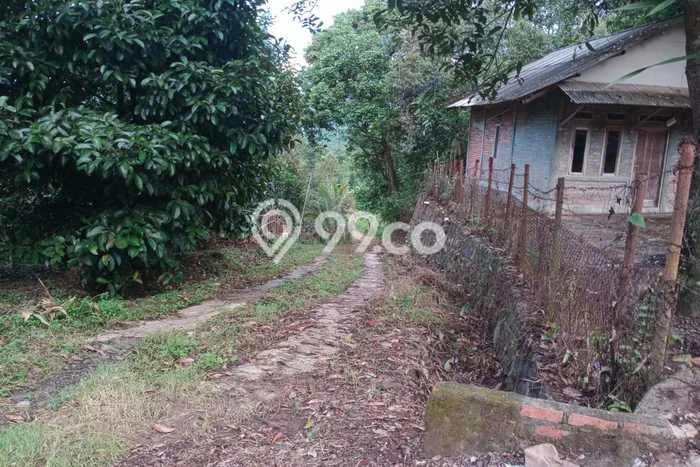 Kavling Tanah Dijual di Leuwisadeng Bogor Spesifikasi 600000m2 Kavling Tanah Dijual di Leuwisadeng Bogor Spesifikasi 600000m2