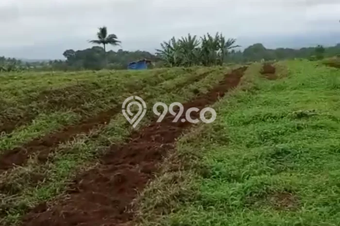 Jarang Ada! Tanah di Parakan Salak Punya Luas 45000m2 SHM Jarang Ada! Tanah di Parakan Salak Punya Luas 45000m2 SHM